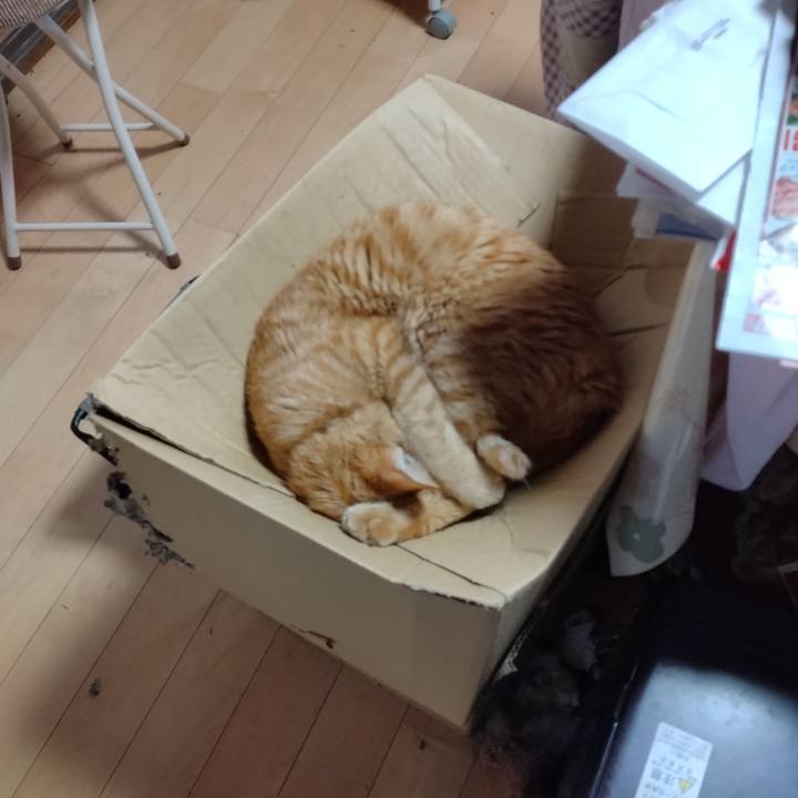 7c7c2402 41f5 4527 8e4b f8281b96801c 1679961964009