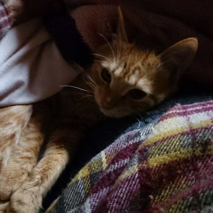 7c7c4209 d45e 4918 a97e 38833826b4be 1641243213037