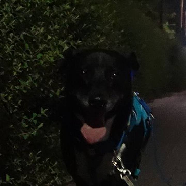 7c7c839e d7f9 40fb 8860 84d2b5acf1ef 1694860816182