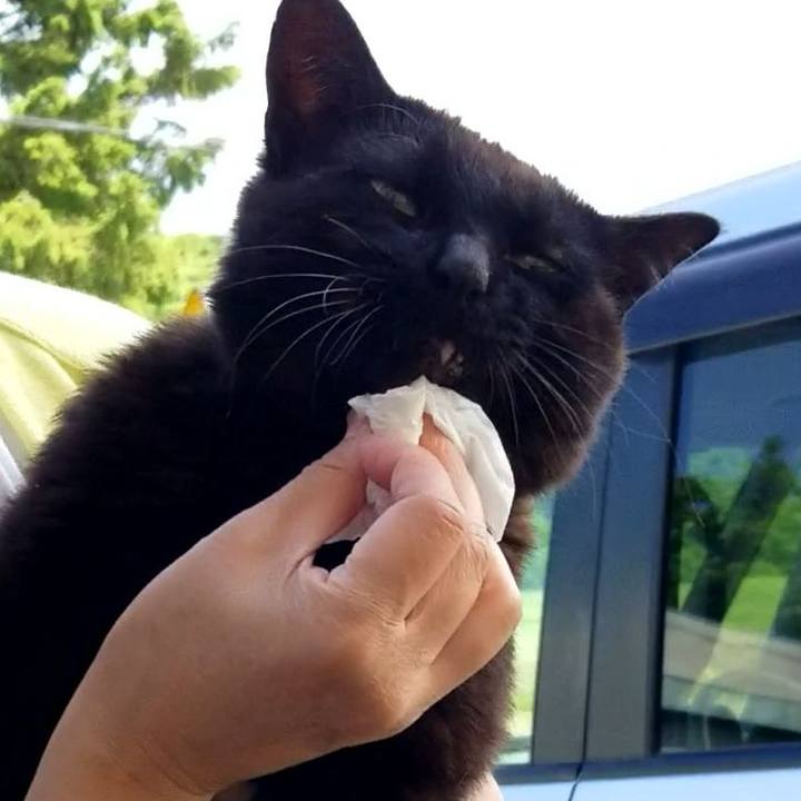 7c7c910a 1c76 4281 baba 3eba78e5f0f6 1686494119996