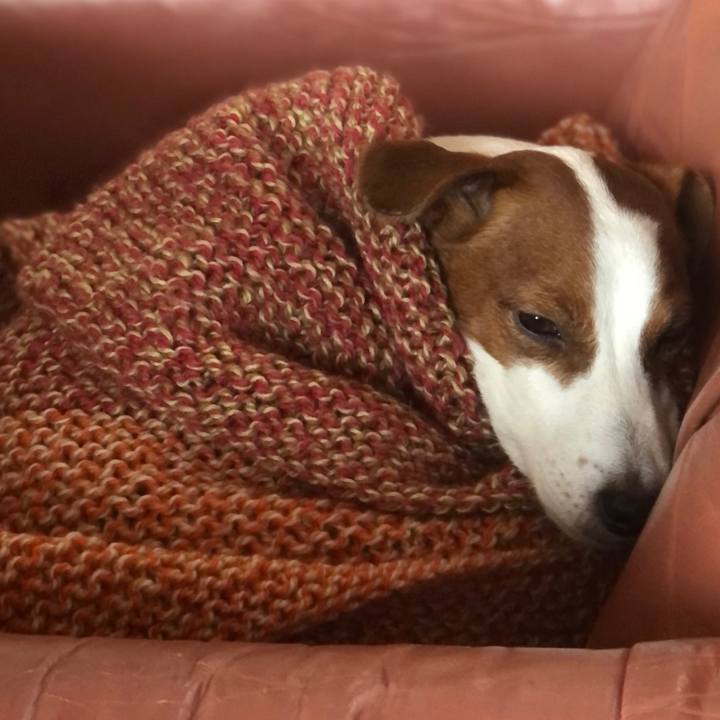 7c7caec2 2780 4fe8 b0ac 58eb7275c5c3 1611653006796