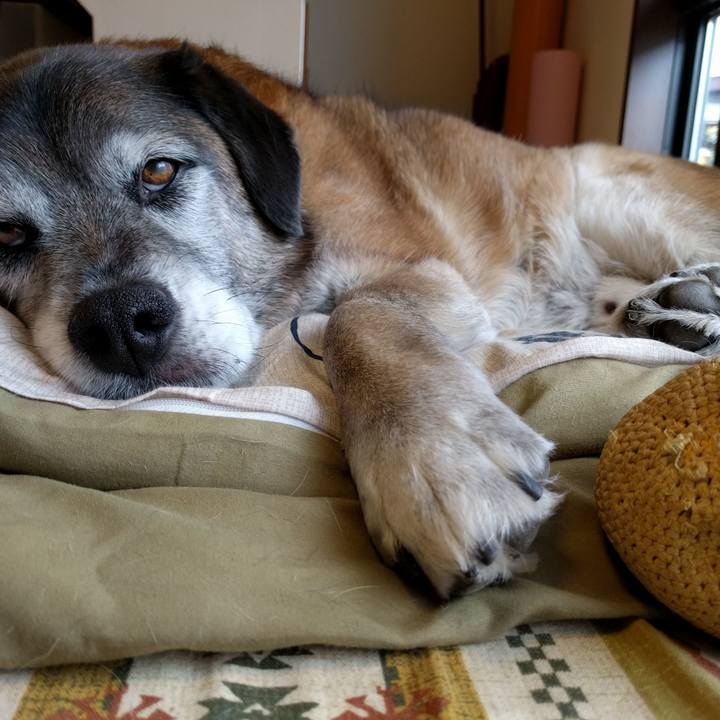 7c7d0480 5df3 4a7f 80e7 007e944c56d5 1555239590496