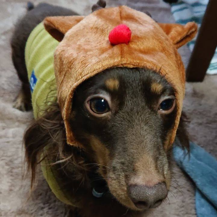 7c7d0c1f d871 4941 82a1 e6561089773a 1762811783944