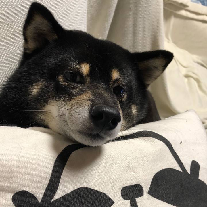 7c7d1ccc f65a 4c6b b3b6 18c8a9182d93 1536837081171