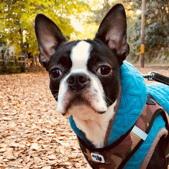 7c7d3235 9de9 4e02 b0e6 b0ae88de794b 1511925334950