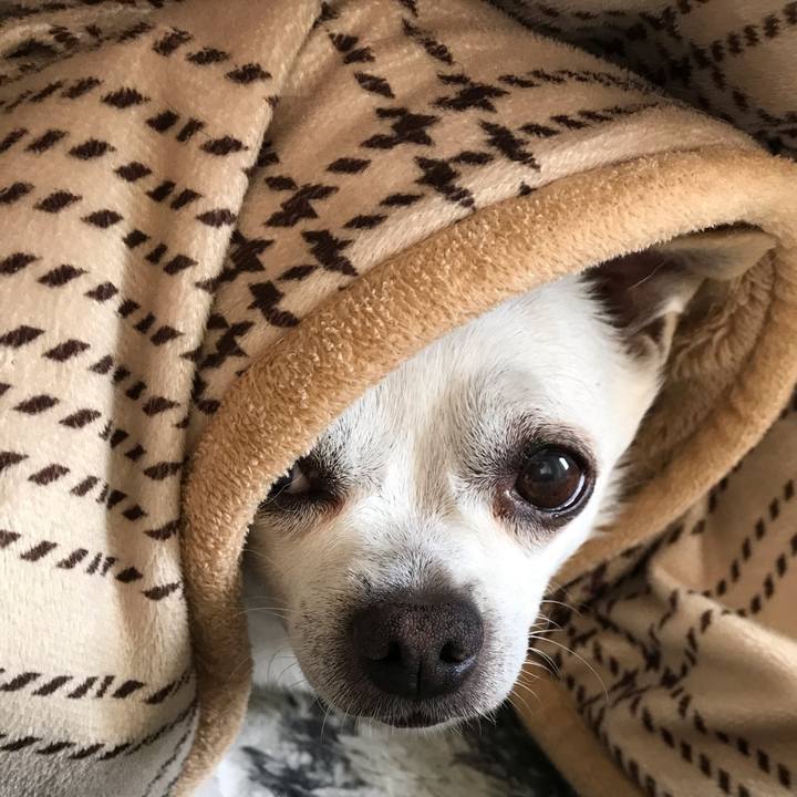 7c7d8f31 a58f 43ba 8d2a c4cbdf5304db 1604236386958