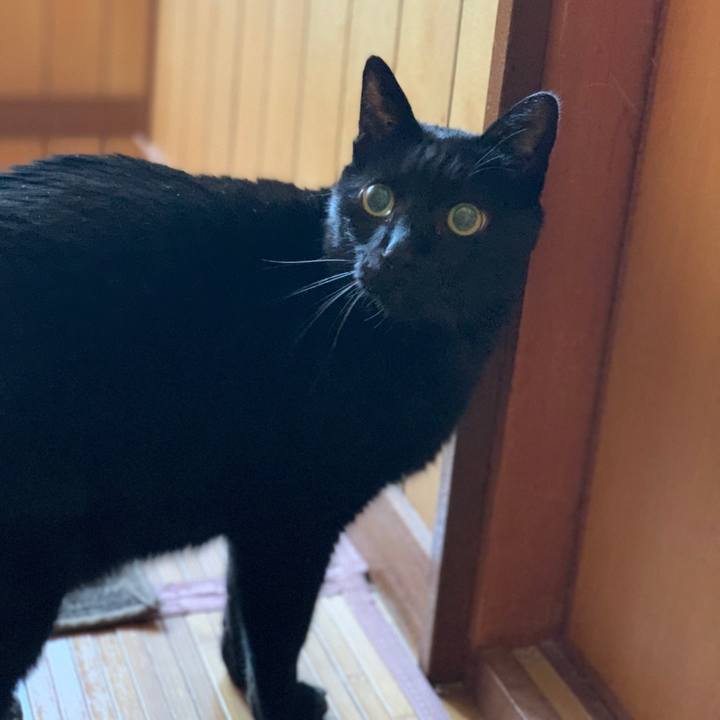 7c7dd061 a890 4f24 b504 521ba5388496 1583630411851