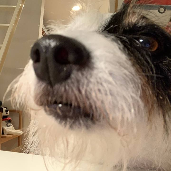 7c7dd57e 201d 405f 81cc bc66b8993a4a 1662203552994