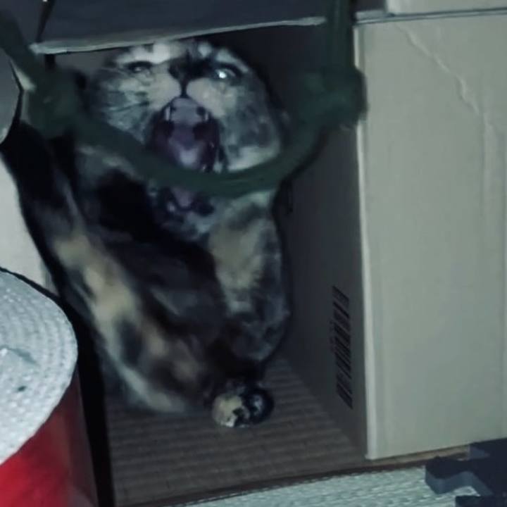 7c7e10e7 b748 43ef a817 aed1eab6290e 1742591421230