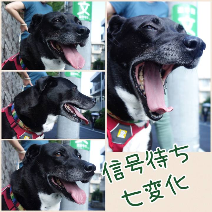 7c7e69bc 03af 4f6b 8d07 ab09faae9361 1686098909448