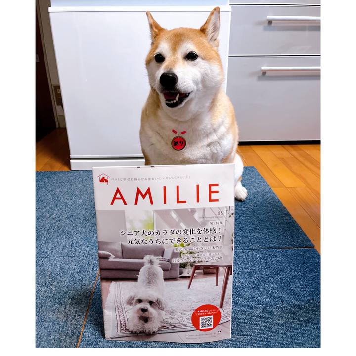 7c7ec24e dc1d 400b be8c 01ad6dd3446c 1711959576104