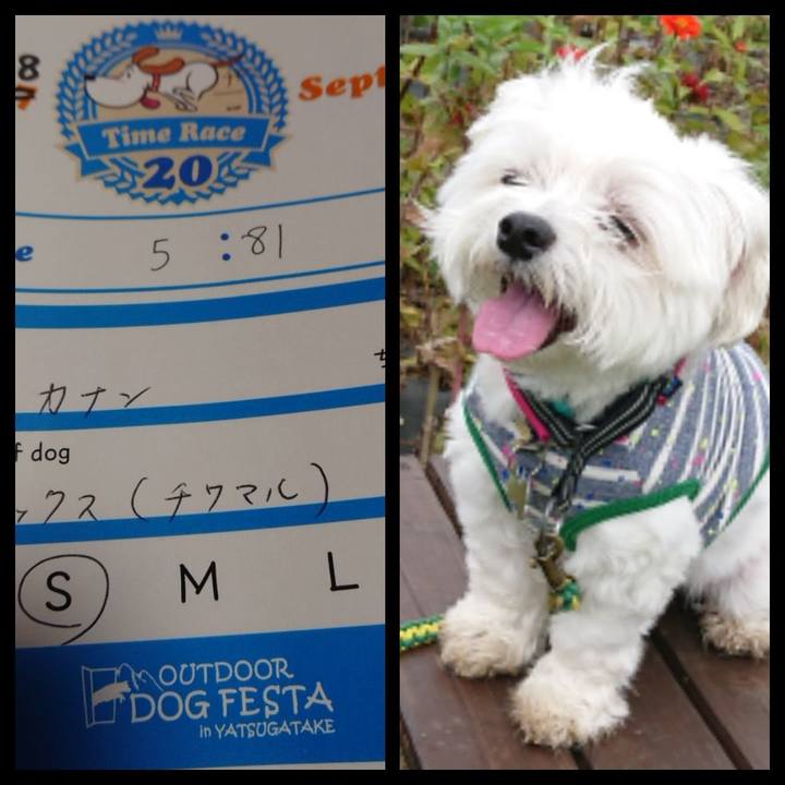 7c7ec5ac bfcf 40f4 bbad 642f8914650e 1537702318079