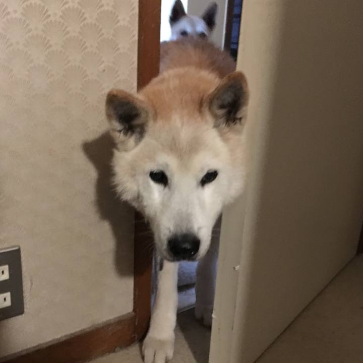 7c7ef110 c072 4a05 9bf8 4ff8766a8a10 1516968500464