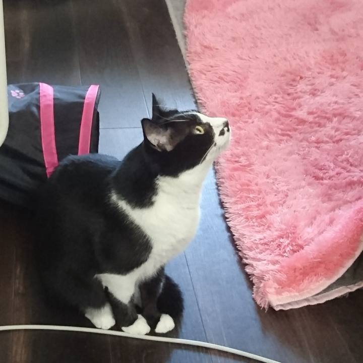 7c7ef4ee 6f86 4e11 97f3 a461bea831de 1528340852011