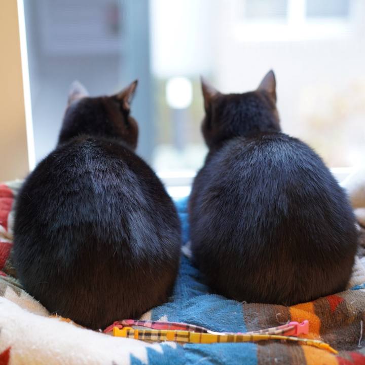 7c7f013e e6ea 4a0e 899b 459a5e0f0738 1580341660652