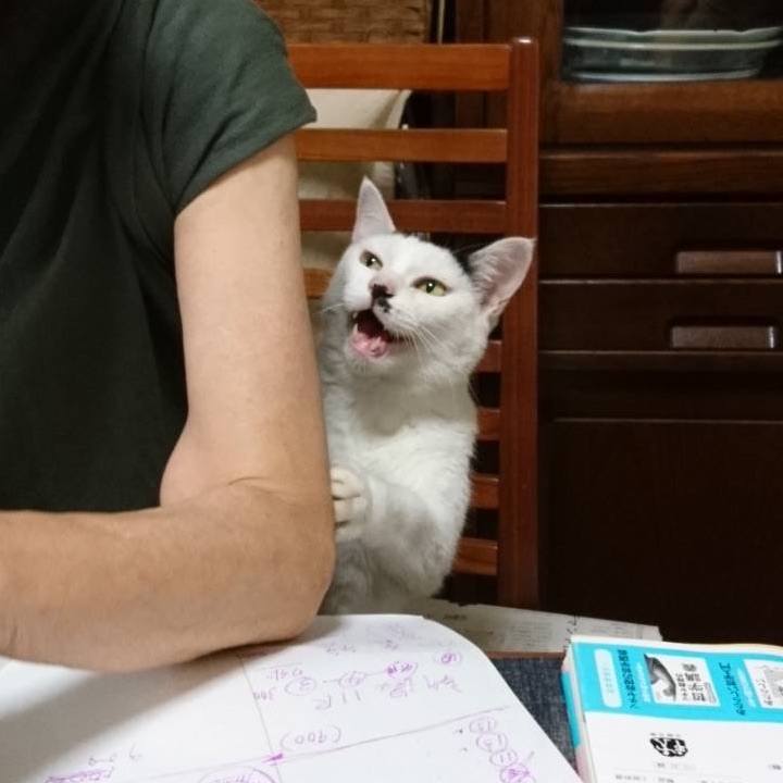 7c7f3ebd 2e1a 4234 a7ae 479c19234b89 1660480226981