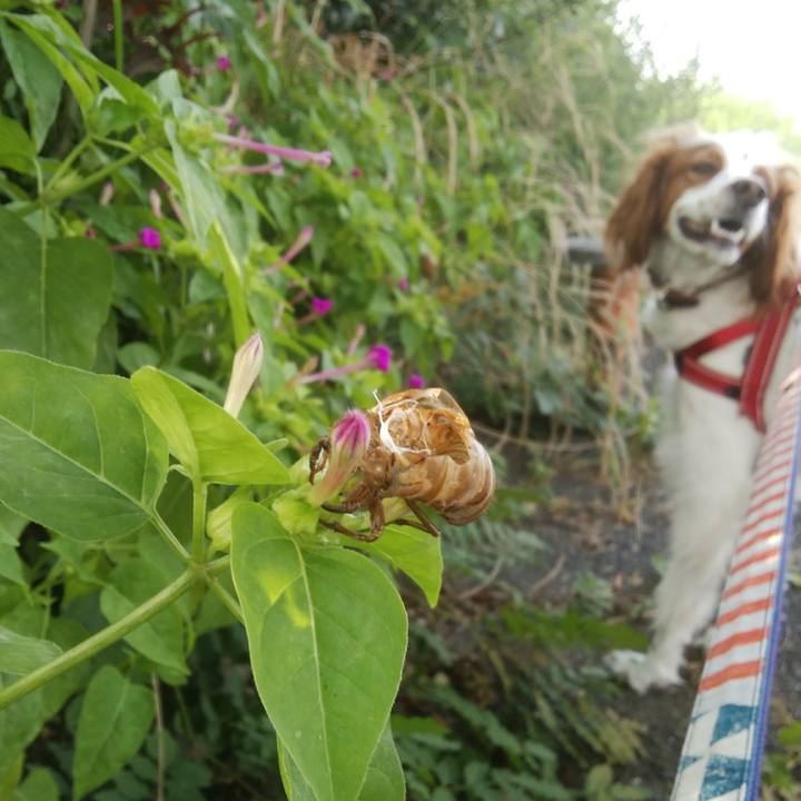 7c7f6830 cb1d 43a0 9fd9 87a6cf05f3b9 1530074841744