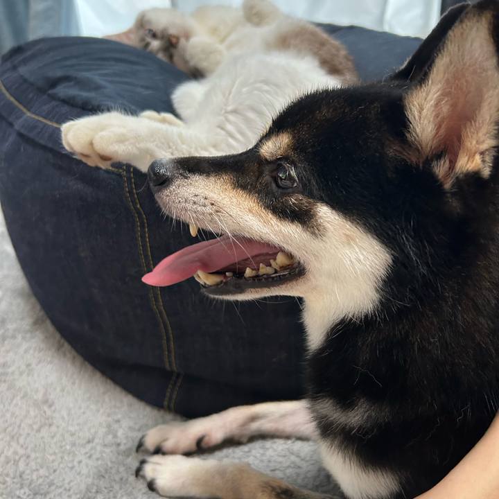 7c7f8845 49a7 4625 be62 700b0e7ddbf6 1725162588238