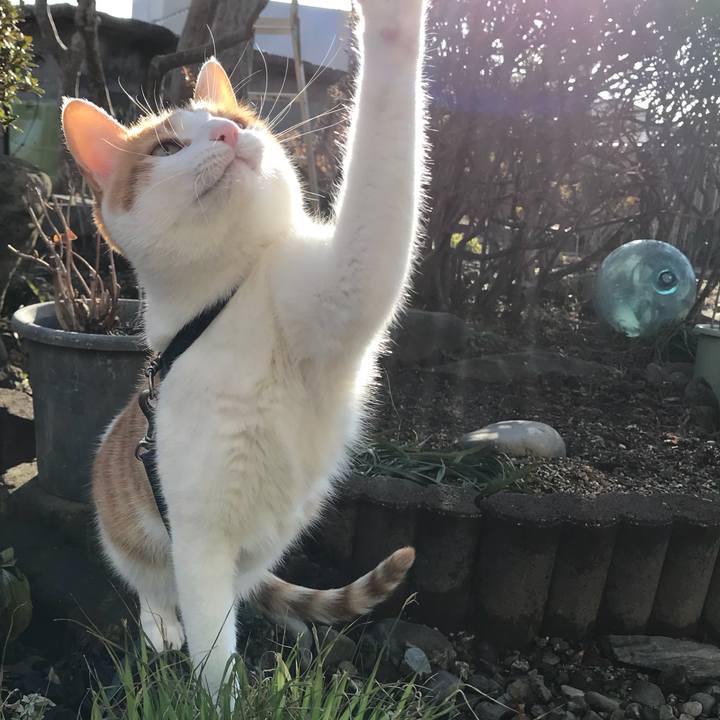 7c7ffcac b61a 46cf 9bec ecd4c0b72dc3 1516254711695