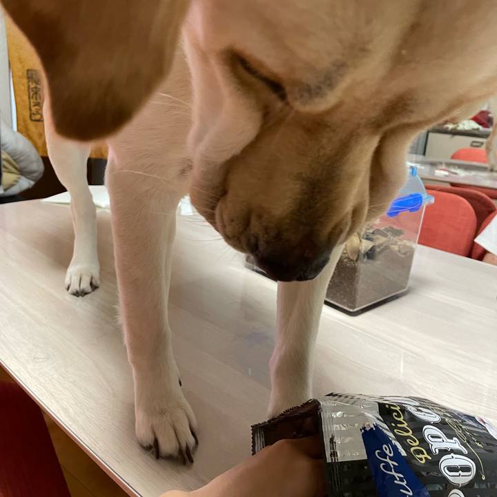 7c803075 7b7a 48a9 950f 1f81be2abee6 1657631466278