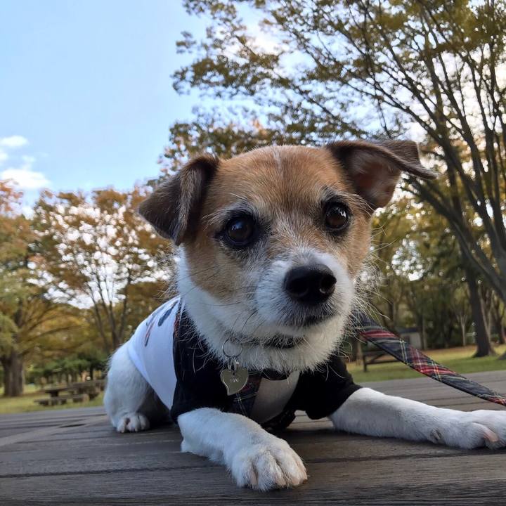 7c80398b 70e5 486b b833 33954ac87bba 1572244531747