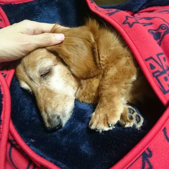 7c803c13 d6fa 40f0 8e90 9158e26931b6 1732611315626