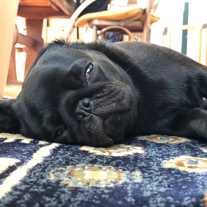 7c804dec 8b98 4b02 88f0 592595d1530b 1601613193935