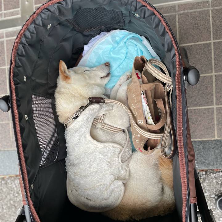 7c806270 bc05 4fe6 a47e fd05818d5c37 1647852912122