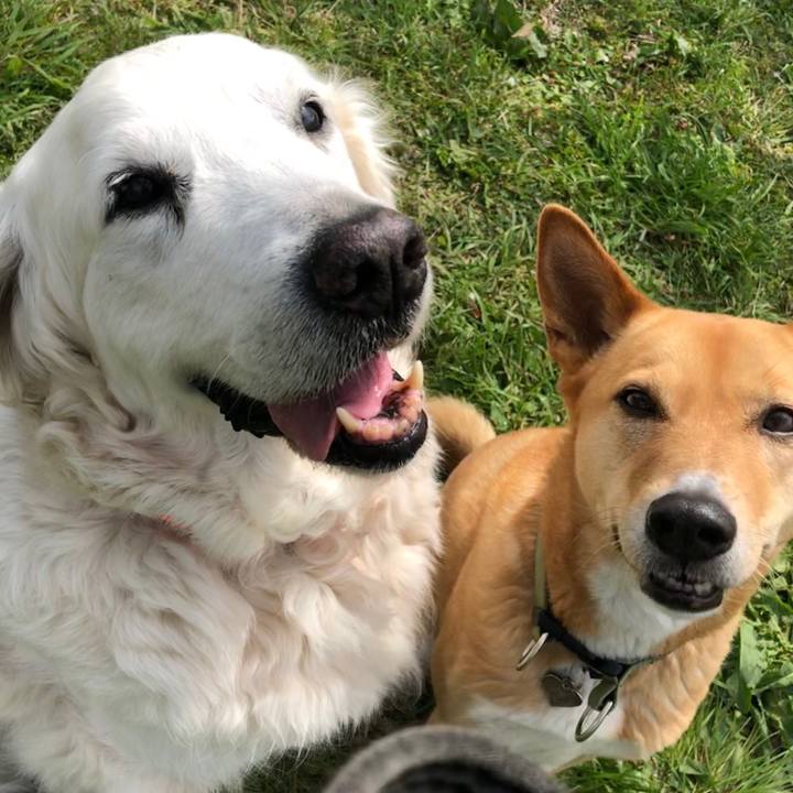 7c8083ec b764 4d5b 9676 ac612d135b08 1556064494383