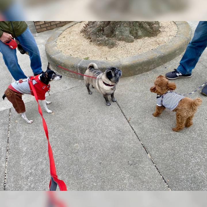 7c8093d5 f49c 4cbe 9b7a efb3d63eb2d6 1616238533863