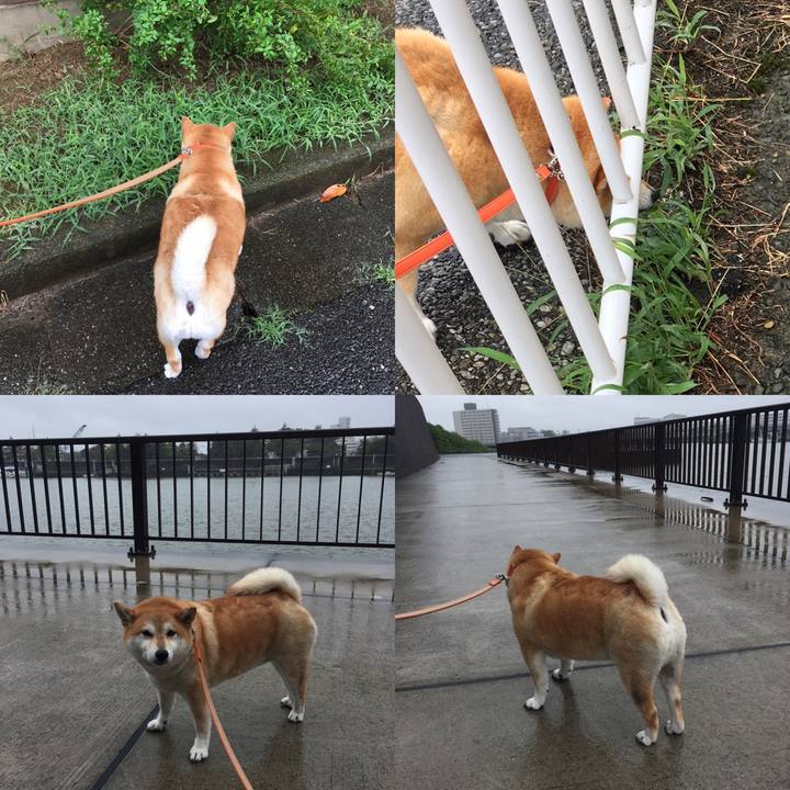 7c809667 a6ee 4c9b b260 4a802301d787 1600996506921