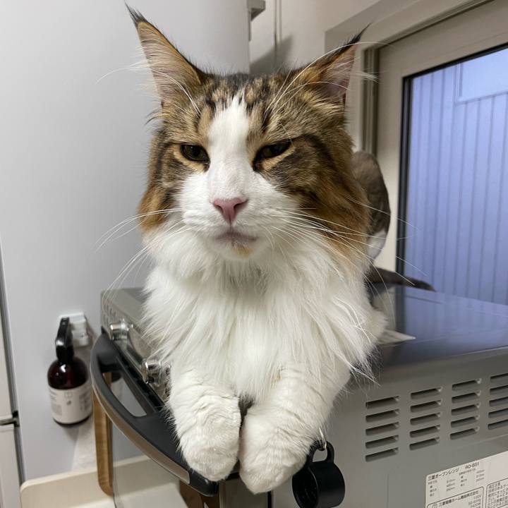 7c80b305 d643 4ef4 a4be 0cd79ecc90a6 1659384829698