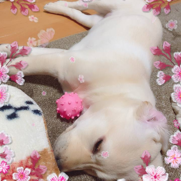 7c80bcdd a168 4042 831d 629bd0cadb42 1613036728948