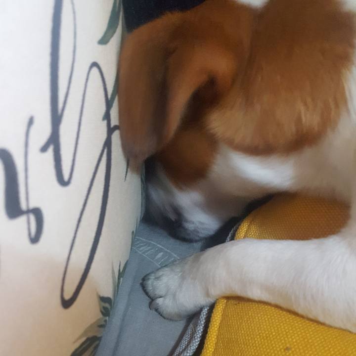 7c80f920 98bd 4705 bc8b e1523cbff3f4 1561963246580