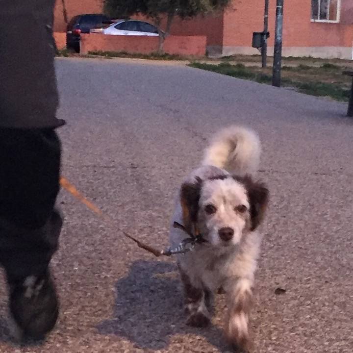 7c815fe8 5dc5 4703 9b79 38b5a258d7c9 1516799128387