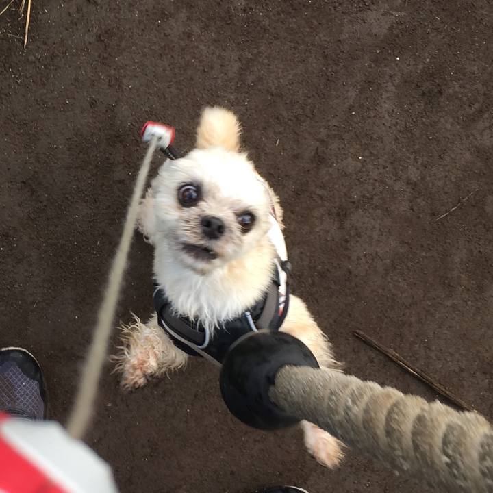 7c8164e7 388e 4f04 8939 c9dbf34d709c 1565866979789