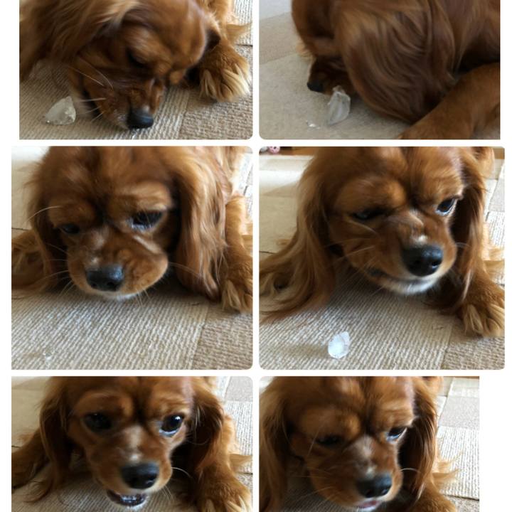 7c816ab3 67be 43ff 9421 73b31e86e64b 1529131450844