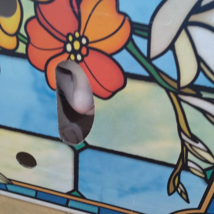 7c817632 26b2 4323 a37a 2b7c357dca36 1651902621473