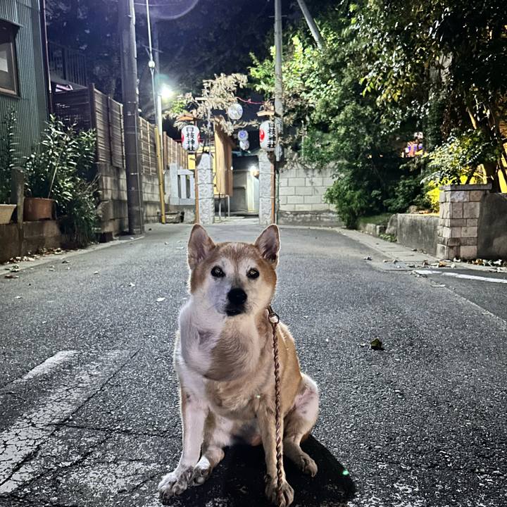 7c8178cd 0a9f 40b7 bfa1 68677efff5ce 1760062798367