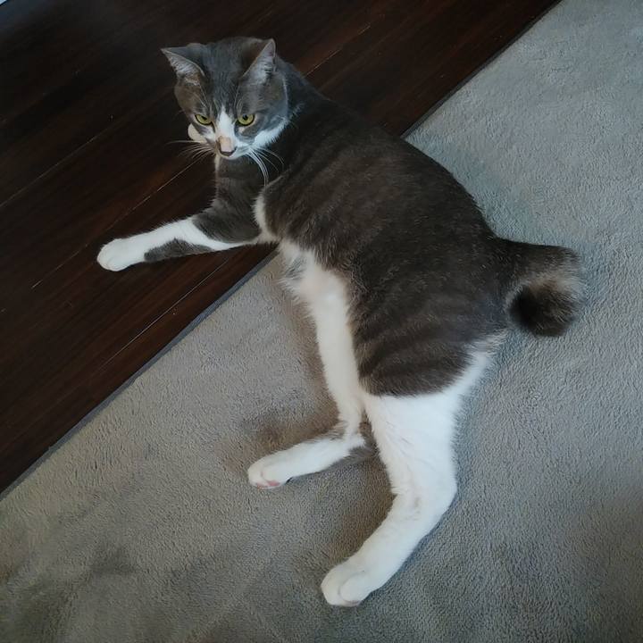 7c817dca 9022 4091 bf46 d7b4ab6c6a0e 1593560804521