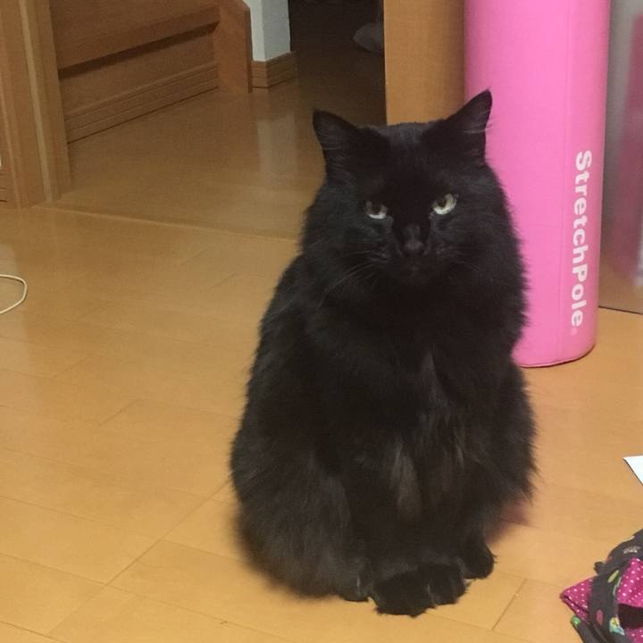 7c819504 d6b4 4846 8371 23843707b997 1527175076576