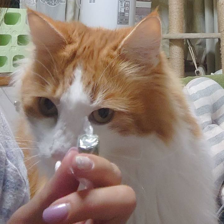 7c81a772 08a3 4471 a0a4 72ff8841e361 1619358753101