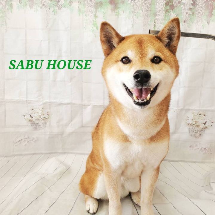 7c81d68b 1f0f 4b53 92fd 58a1caf31428 1680493464362