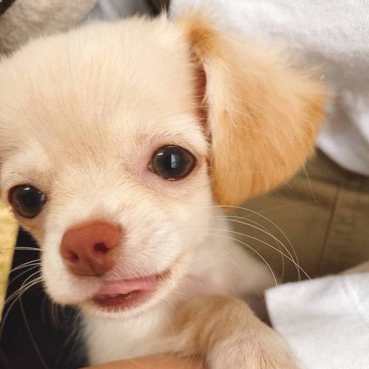 7c829e90 31cb 4495 89e3 c9be0c3e4485 1745487864445