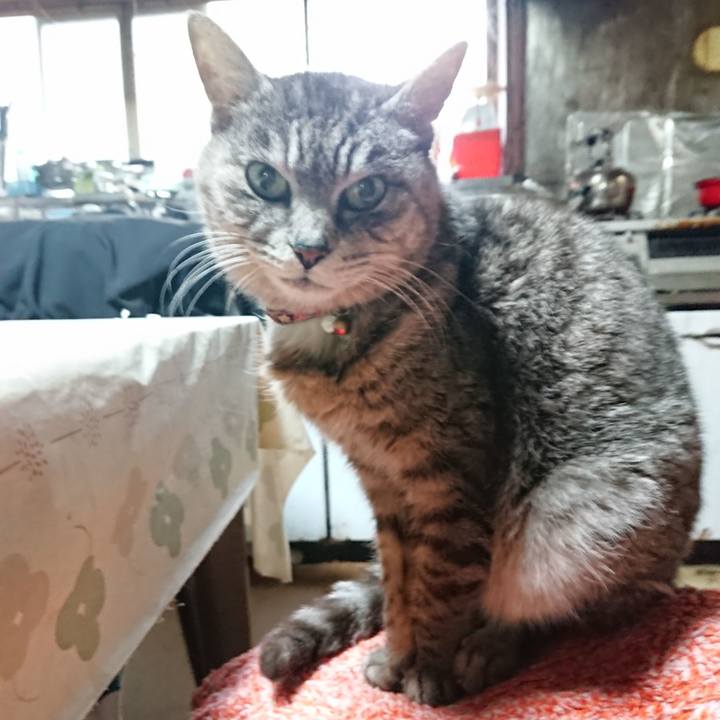 7c82b5b0 ccd3 4095 b5dc 88f1477cf29f 1584654919094