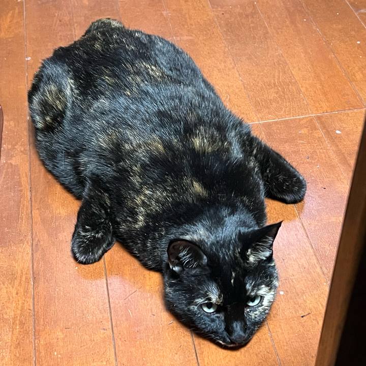 7c82b9a6 f422 49d4 b460 e8c6d2defdb6 1765698066625