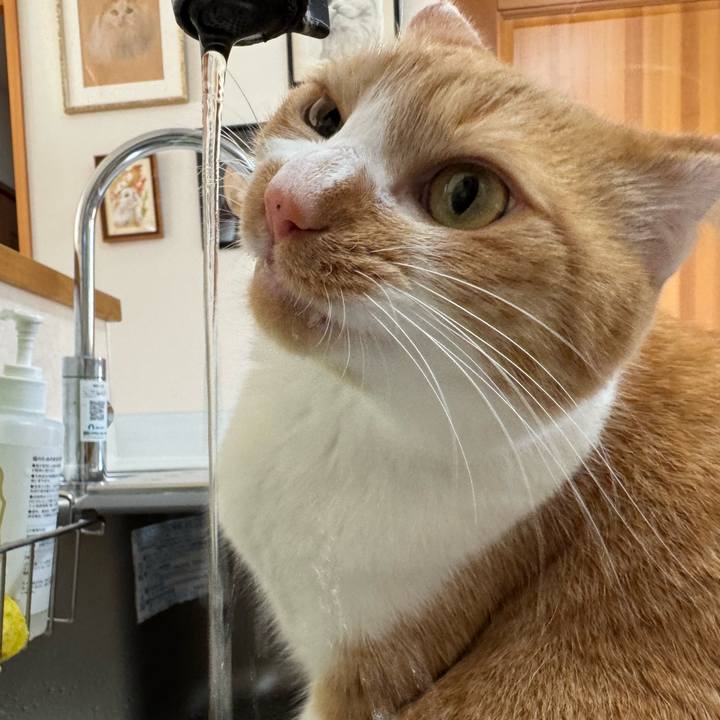 7c82c51e 6d0d 401a af41 e1e74e522074 1764901457841