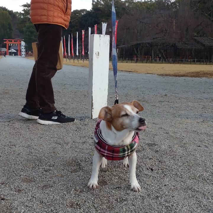 7c82efd1 e377 438c a878 07ae87c8be68 1766189955855