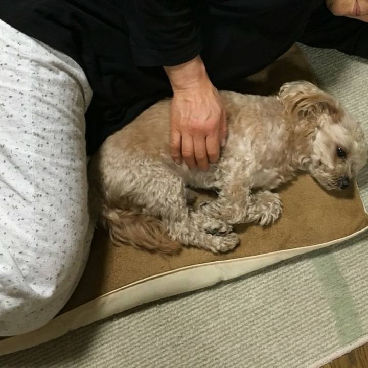 7c82f4ae 5f98 4734 9399 0daba577574d 1522157029860