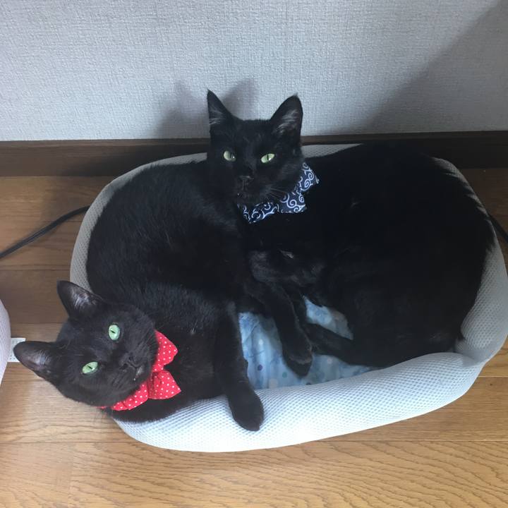 7c83785a a3a9 4bae b910 86152f10a6f1 1537060759212